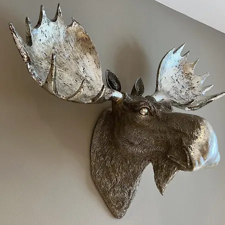 Appartement Dachsbau