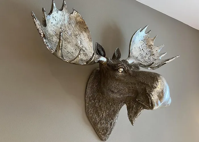 Appartement Dachsbau